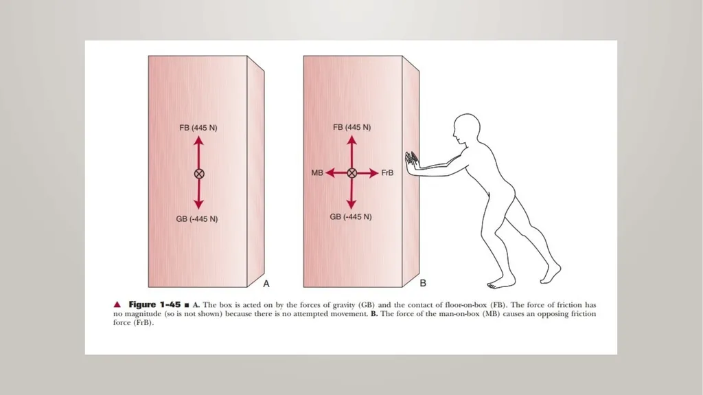 BIOMECHANICS KINESIS – Movement + Logous – Study - slide 37 of 45