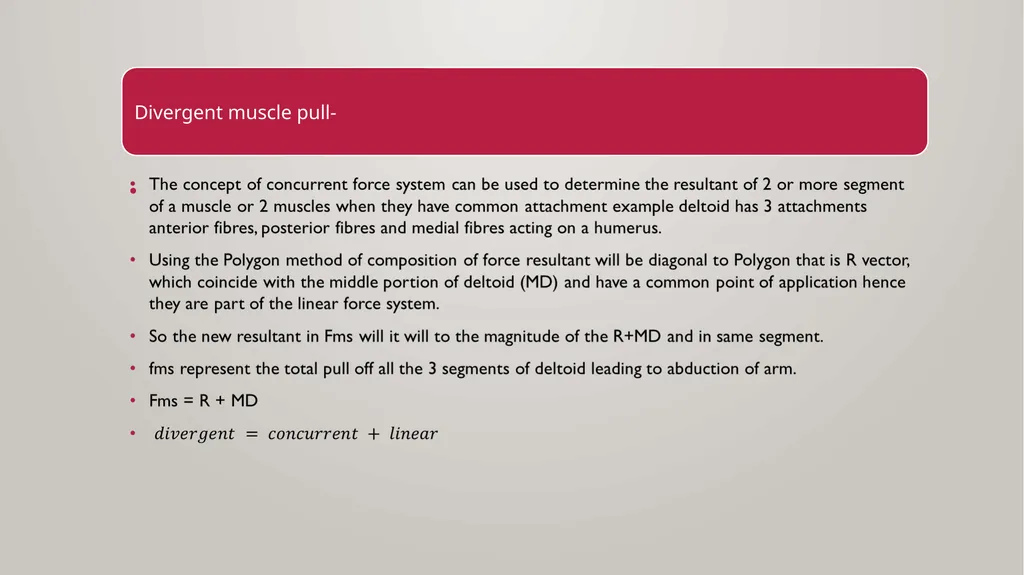 BIOMECHANICS KINESIS – Movement + Logous – Study - slide 44 of 45