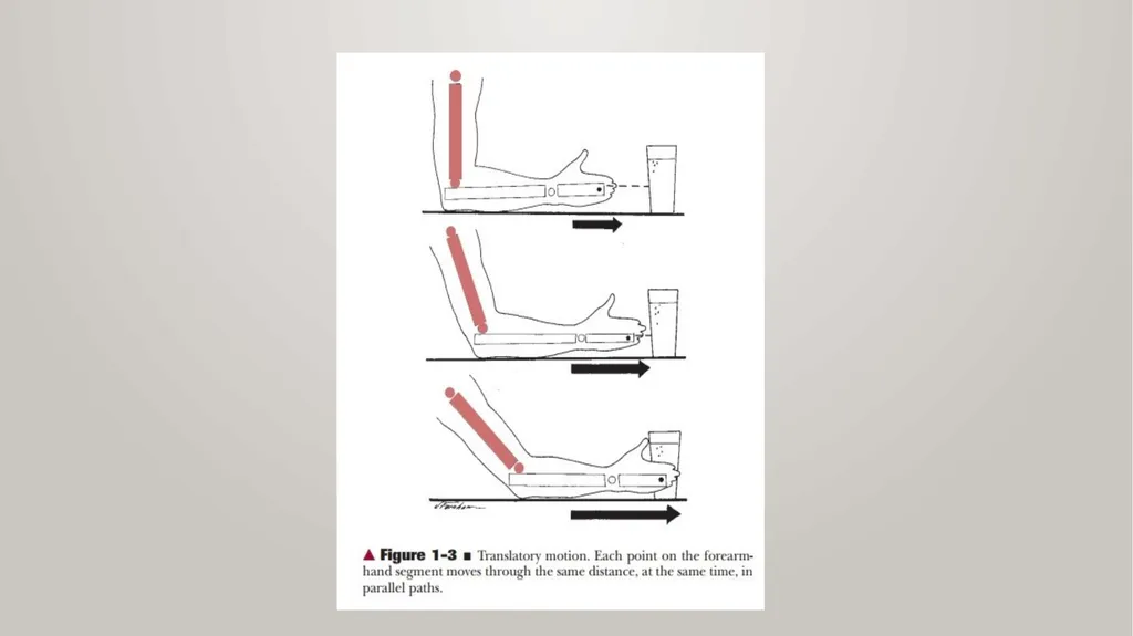 BIOMECHANICS KINESIS – Movement + Logous – Study - slide 7 of 45