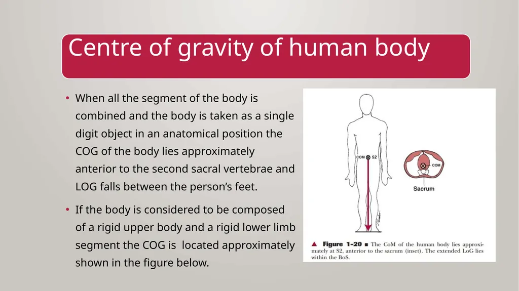 BIOMECHANICS KINESIS – Movement + Logous – Study - slide 25 of 45