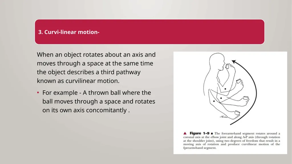 BIOMECHANICS KINESIS – Movement + Logous – Study - slide 8 of 45