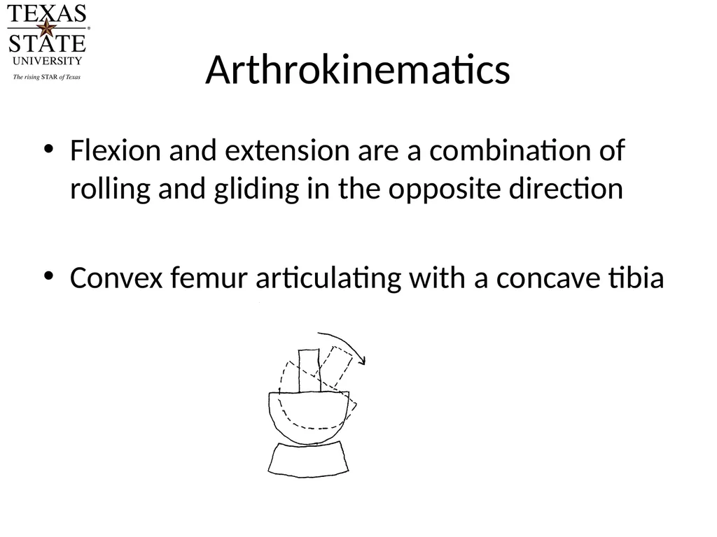 Knee Biomechanics Joint Positions Resting position - slide 3 of 20