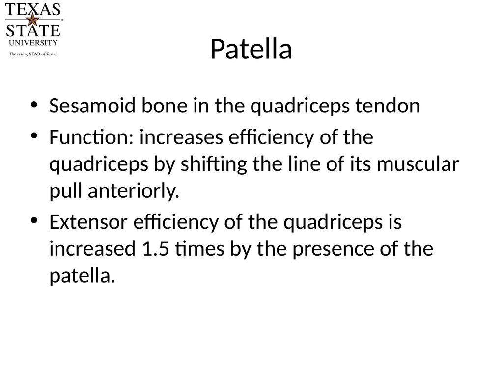 Knee Biomechanics Joint Positions Resting position - slide 12 of 20