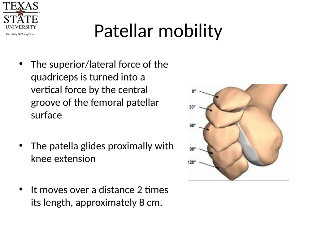 Knee Biomechanics Joint Positions Resting position - slide 14 of 20