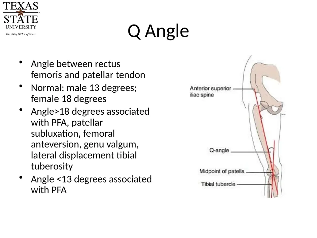 Knee Biomechanics Joint Positions Resting position - slide 16 of 20