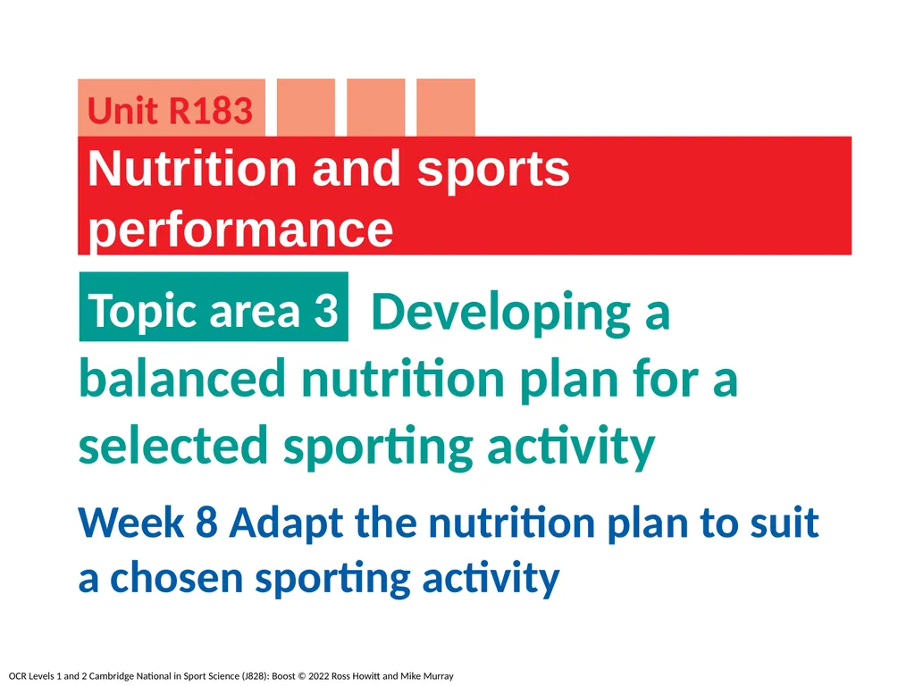Developing a balanced nutrition plan for a