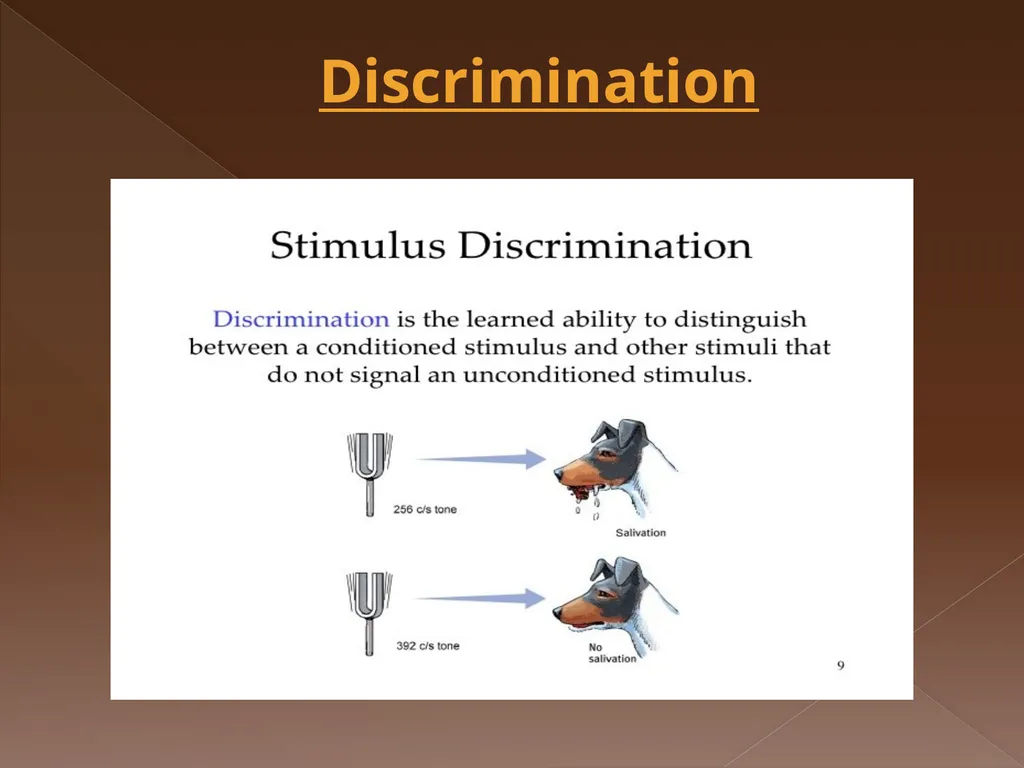 Classical Conditioning Learning Learning is a key - slide 22 of 30