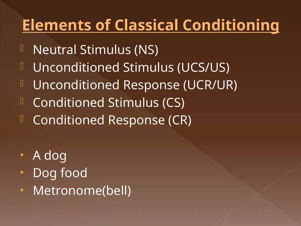 Classical Conditioning Learning Learning is a key - slide 13 of 30