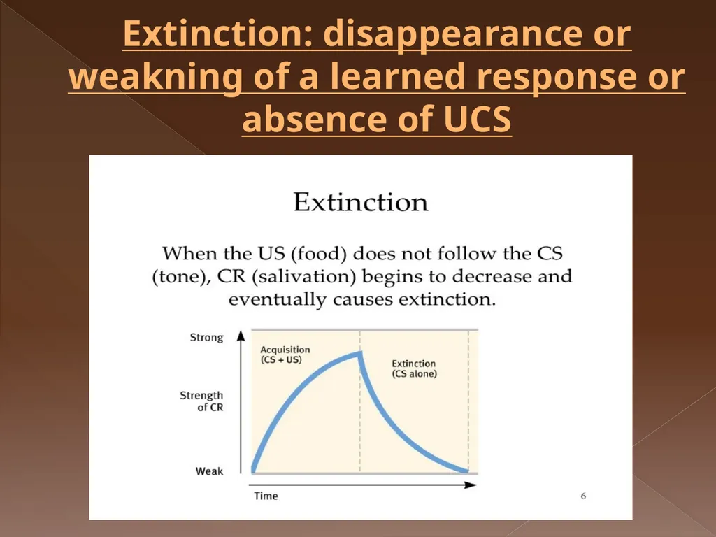 Classical Conditioning Learning Learning is a key - slide 23 of 30