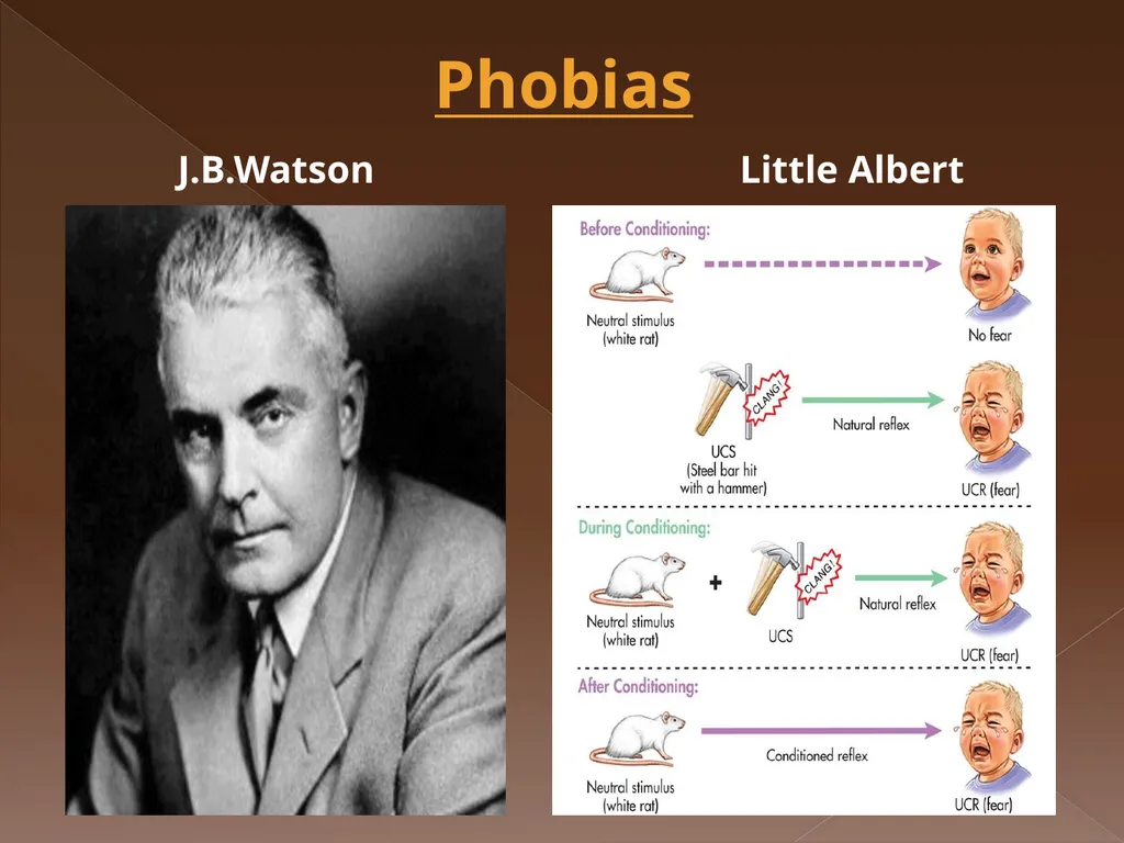 Classical Conditioning Learning Learning is a key - slide 27 of 30