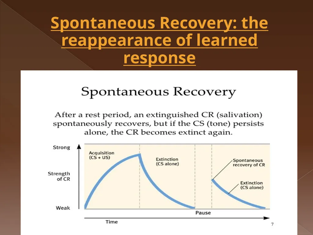Classical Conditioning Learning Learning is a key - slide 24 of 30