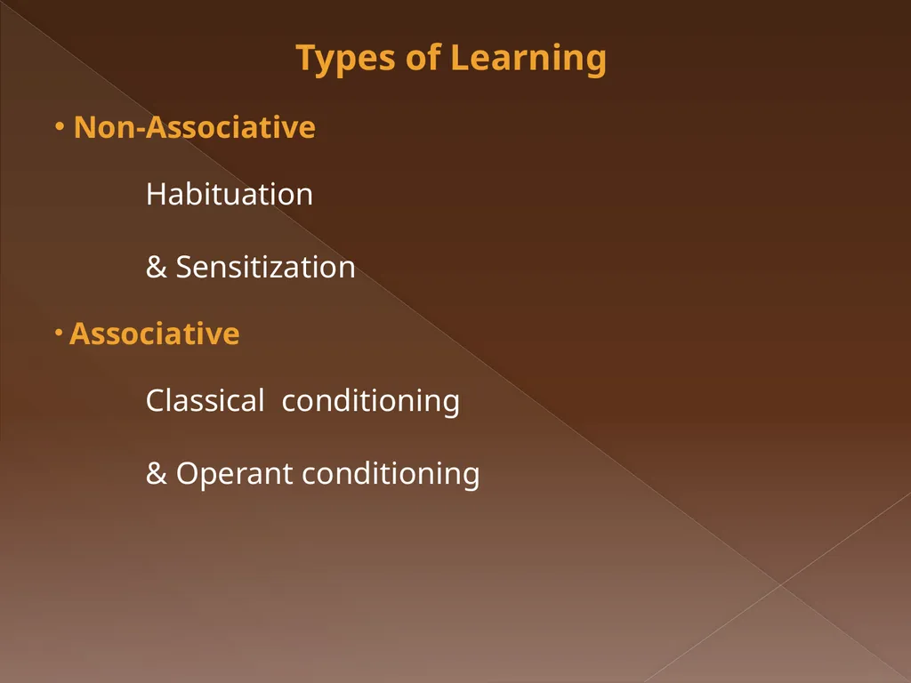 Classical Conditioning Learning Learning is a key - slide 5 of 30