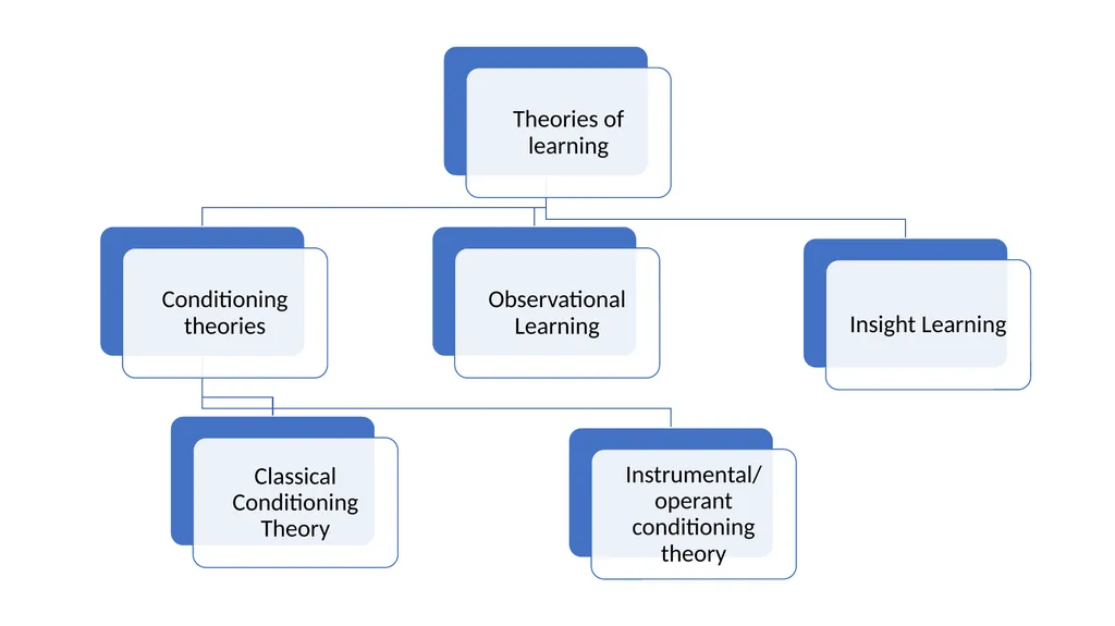 Learning-Introduction Dr. Pranay Kumar Gupta - slide 7 of 34