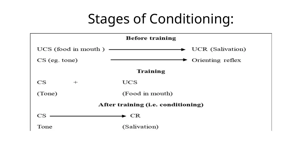 Learning-Introduction Dr. Pranay Kumar Gupta - slide 12 of 34