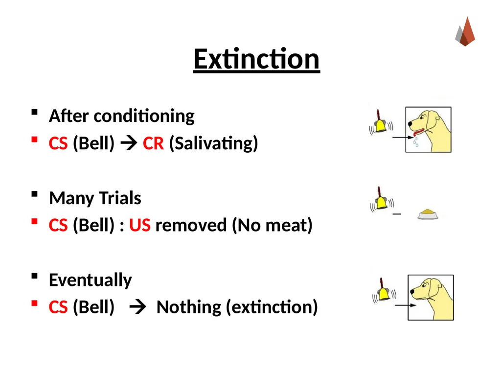 Conditioning and Learning [Professor Name] [Class - slide 16 of 42