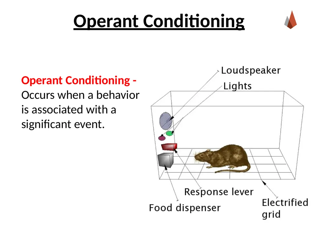 Conditioning and Learning [Professor Name] [Class - slide 22 of 42