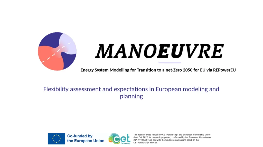 Flexibility assessment and expectations in