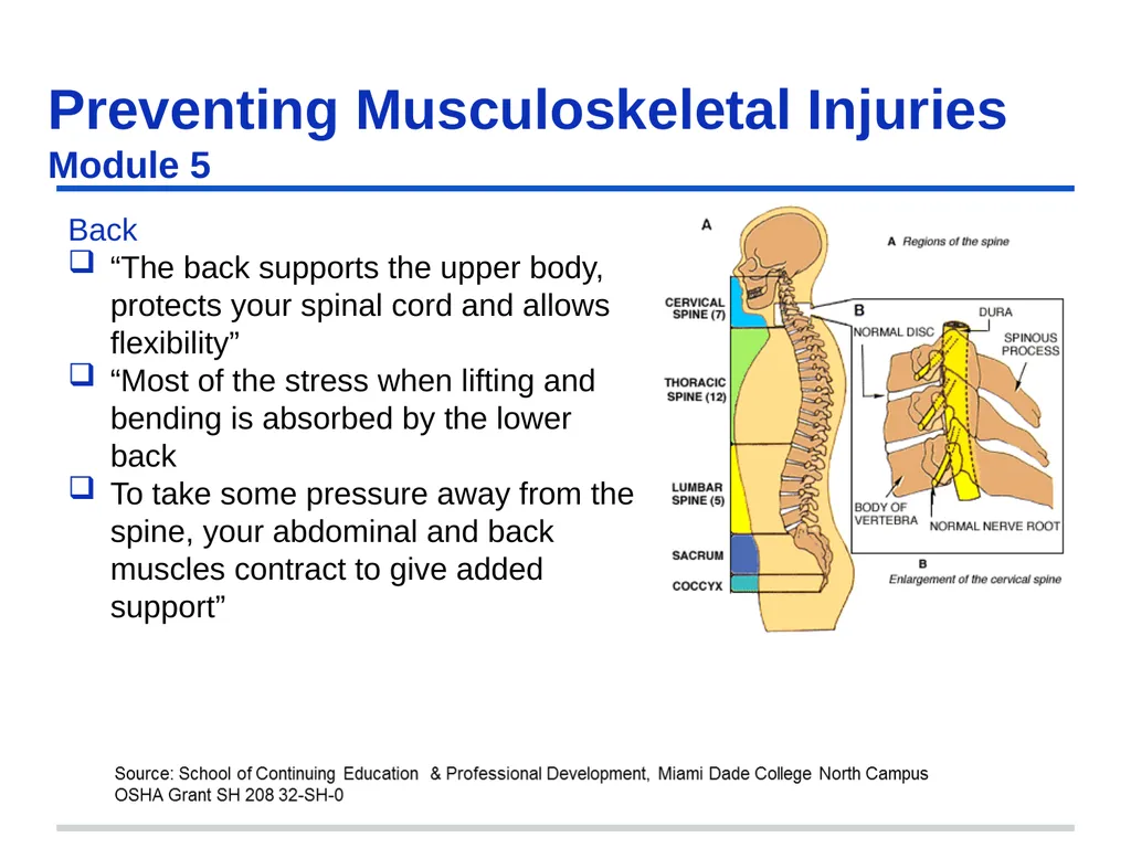 Preventing Musculoskeletal Injuries Module 5 - slide 18 of 48