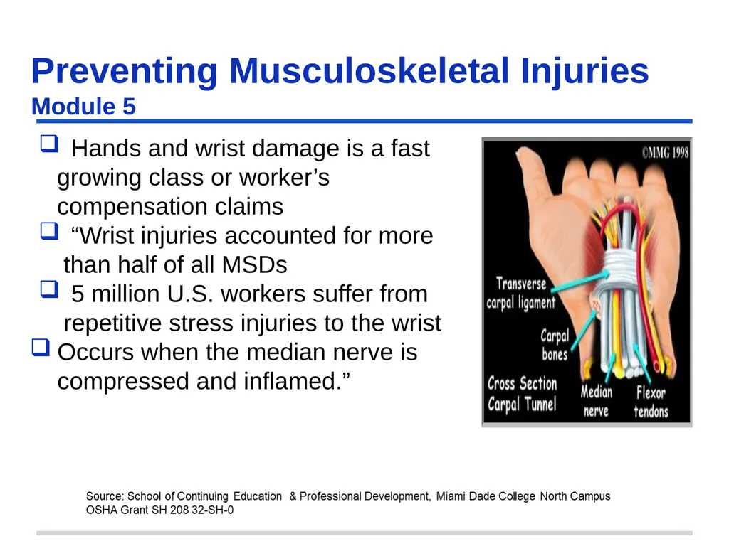Preventing Musculoskeletal Injuries Module 5 - slide 31 of 48