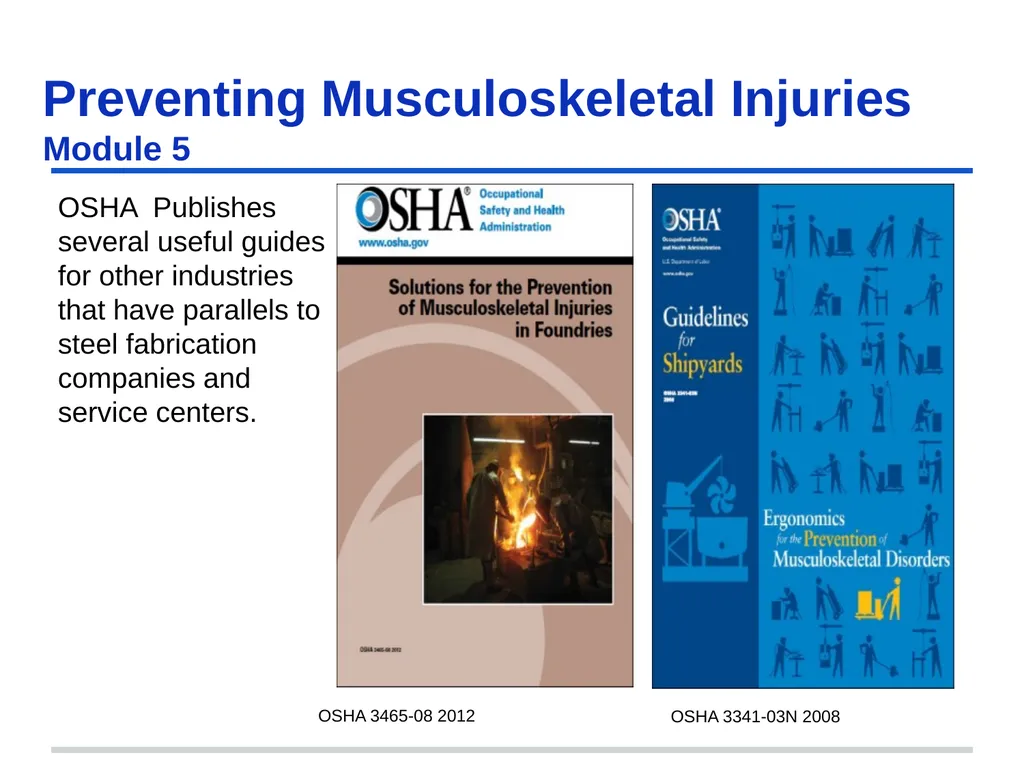 Preventing Musculoskeletal Injuries Module 5 - slide 44 of 48
