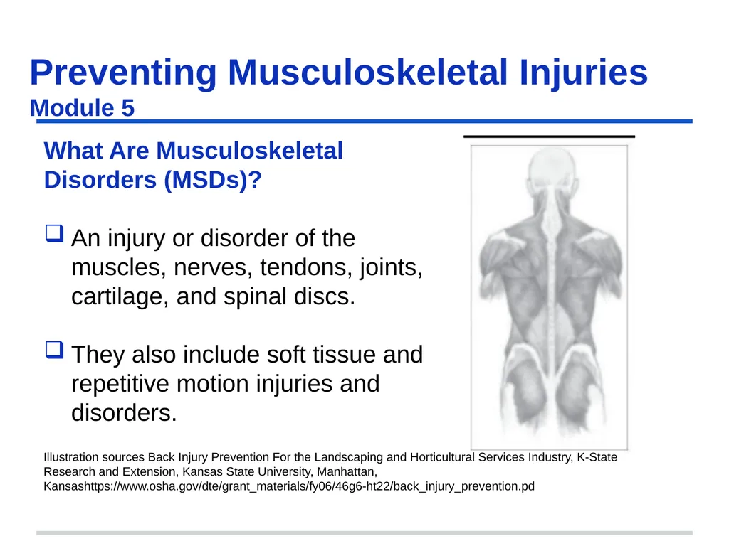 Preventing Musculoskeletal Injuries Module 5 - slide 9 of 48