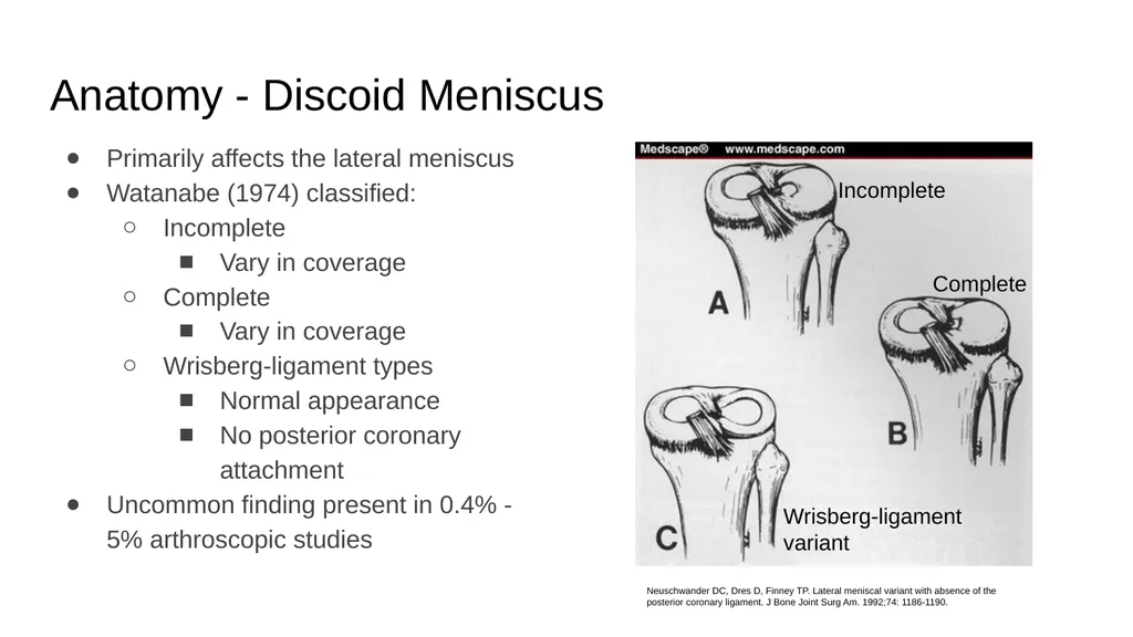 The Meniscus: Injuries, Management and - slide 8 of 74