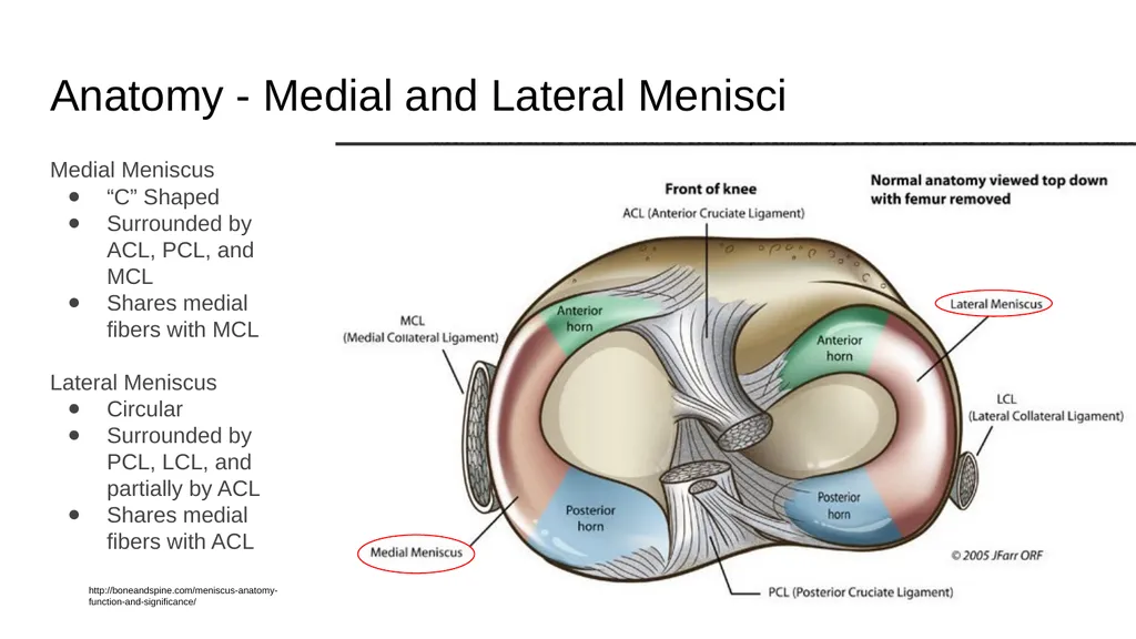 The Meniscus: Injuries, Management and - slide 4 of 74