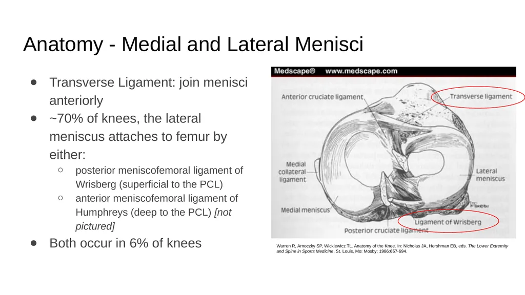 The Meniscus: Injuries, Management and - slide 7 of 74