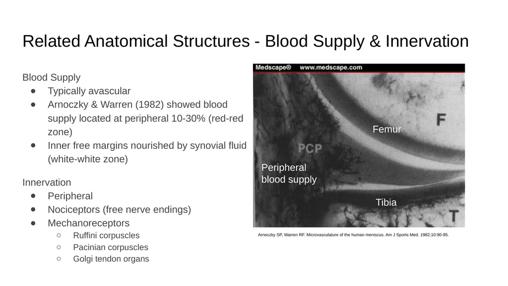 The Meniscus: Injuries, Management and - slide 9 of 74