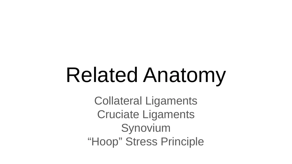 The Meniscus: Injuries, Management and - slide 10 of 74
