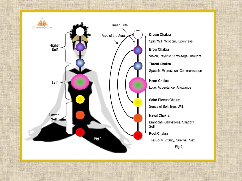 Seven Chakras in Yoga ewyk/kkj pzd Root or Base - slide 1 of 15