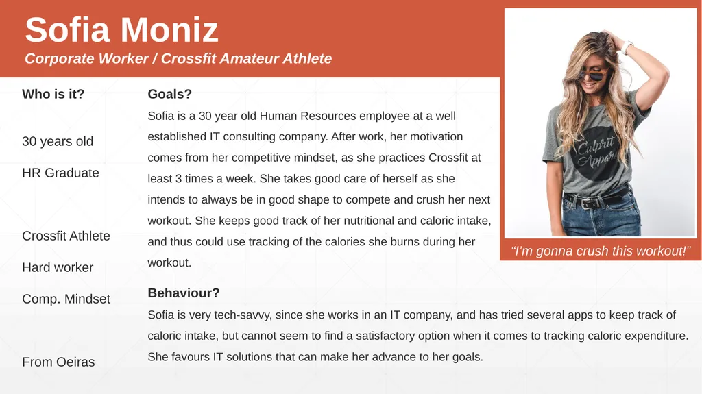 Personas and Scenarios User research - slide 6 of 17