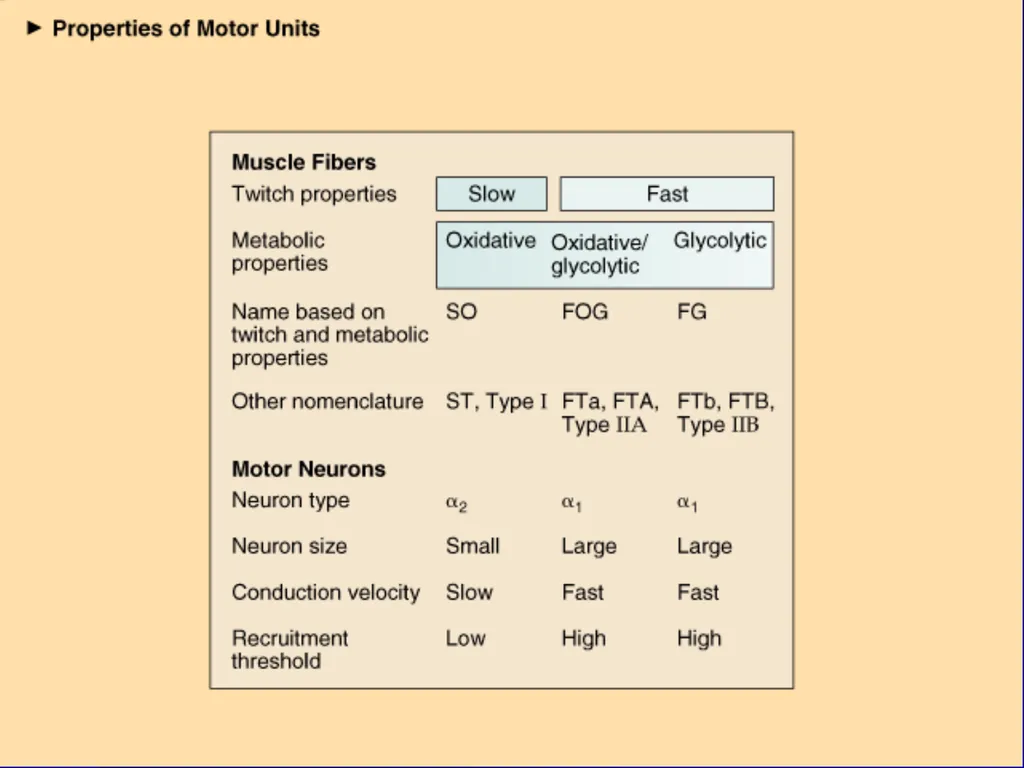 Strength abilites The ability to move, maintain, - slide 7 of 23