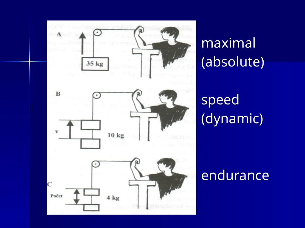 Strength abilites The ability to move, maintain, - slide 4 of 23