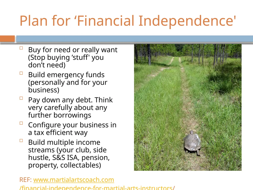 COVID-19: government support for businesses By - slide 9 of 10