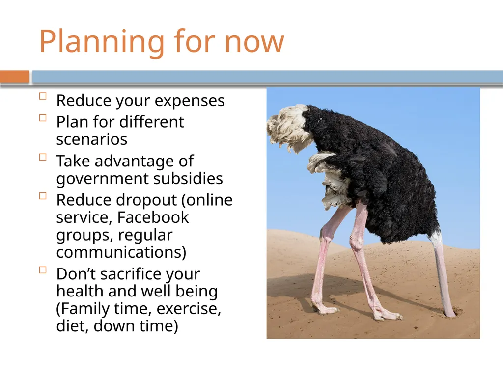 COVID-19: government support for businesses By - slide 7 of 10