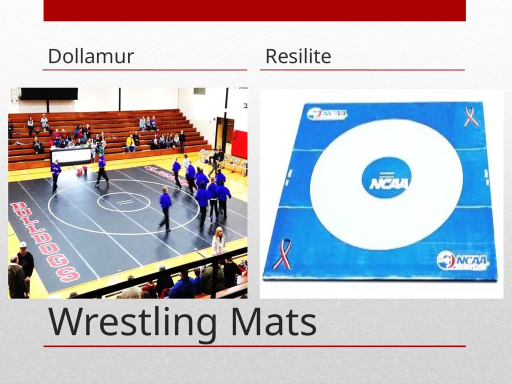 AHSAA Intro to Wrestling by Ryan Hagan & Perry - slide 11 of 14