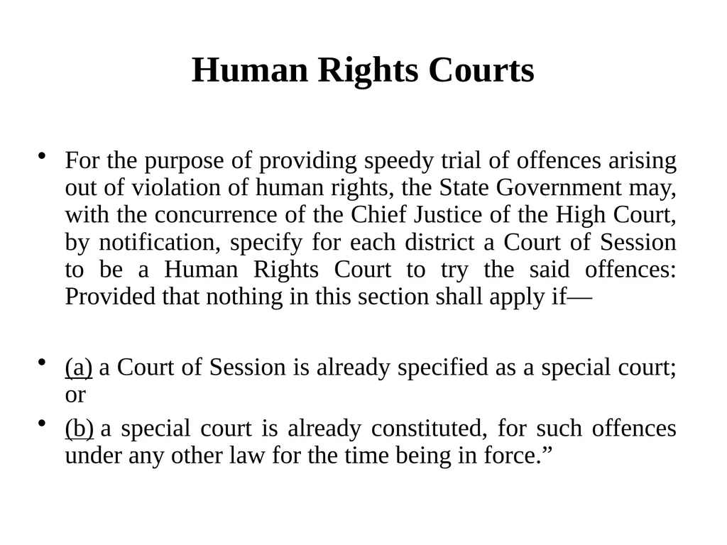 SEMINAR TO ASSESS WORKING OF HUMAN RIGHTS COURTS - slide 9 of 17
