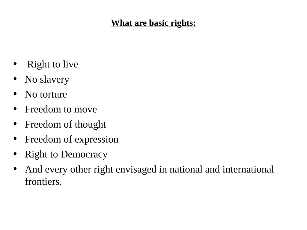 SEMINAR TO ASSESS WORKING OF HUMAN RIGHTS COURTS - slide 4 of 17