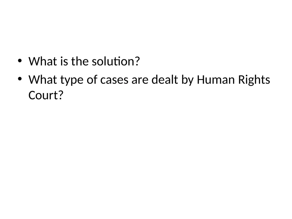 SEMINAR TO ASSESS WORKING OF HUMAN RIGHTS COURTS - slide 13 of 17