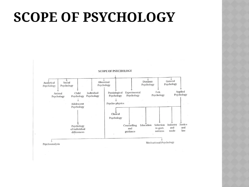 ADVANCED EDUCATIONAL PSYCHOLOGY DR. SANTHAKUMARI - slide 5 of 22