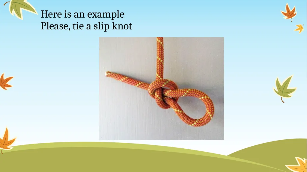 Scholarship of Teaching & Learning: Practical - slide 13 of 22