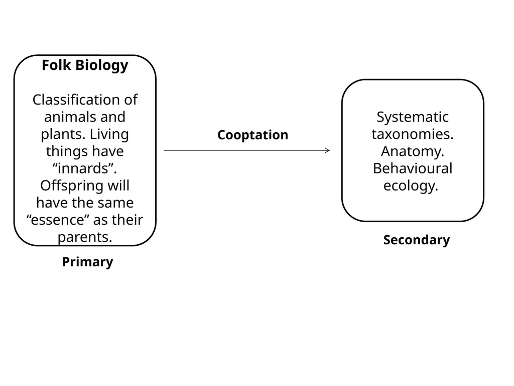 Evolutionary Educational Psychology A summary of - slide 6 of 16