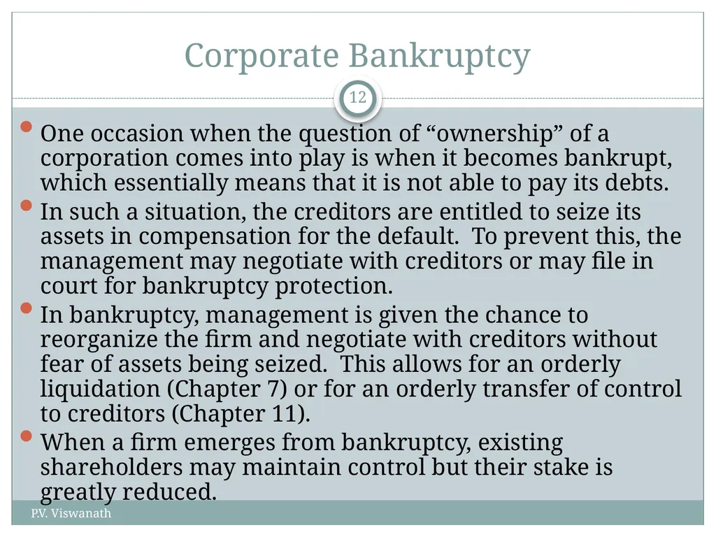 The Corporation and How it Functions P.V. - slide 12 of 48