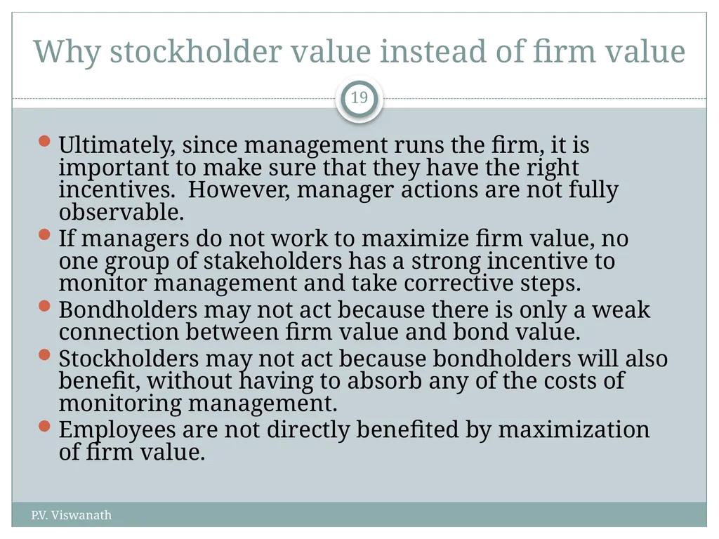 The Corporation and How it Functions P.V. - slide 19 of 48