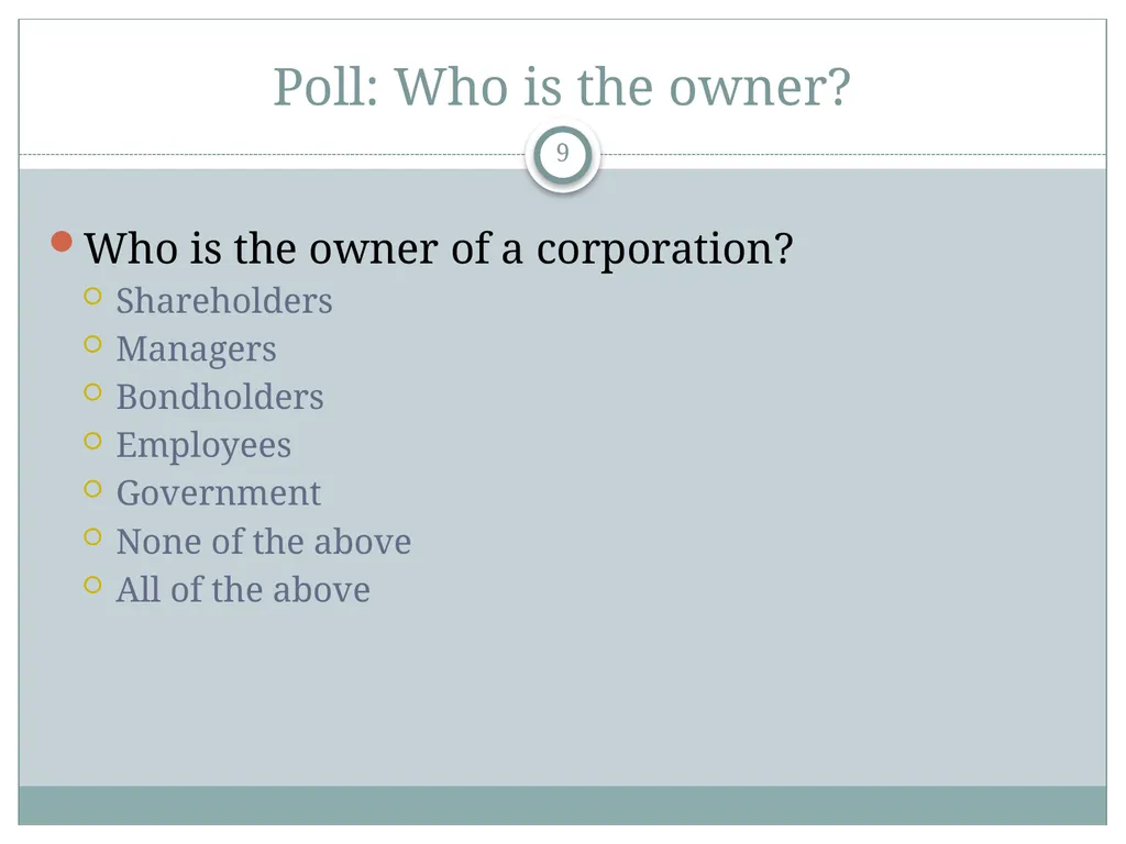 The Corporation and How it Functions P.V. - slide 9 of 48