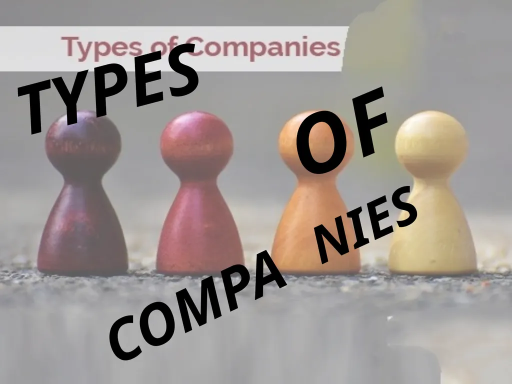 TYPES O COMPA F NIES Its voluntary incorporated - slide 1 of 25