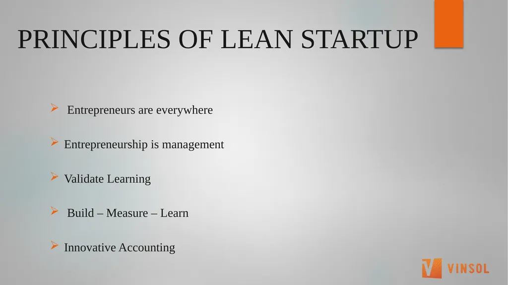 THE LEAN STARTUP (Eric Ries) SUMMARY Preeti bhalla - slide 6 of 35