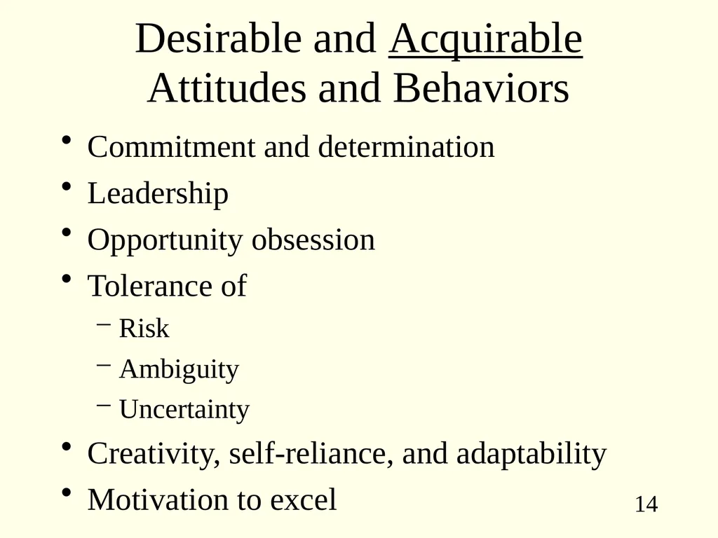 What is an Entrepreneur? ENTREPRENEURSHIP Insane - slide 14 of 15