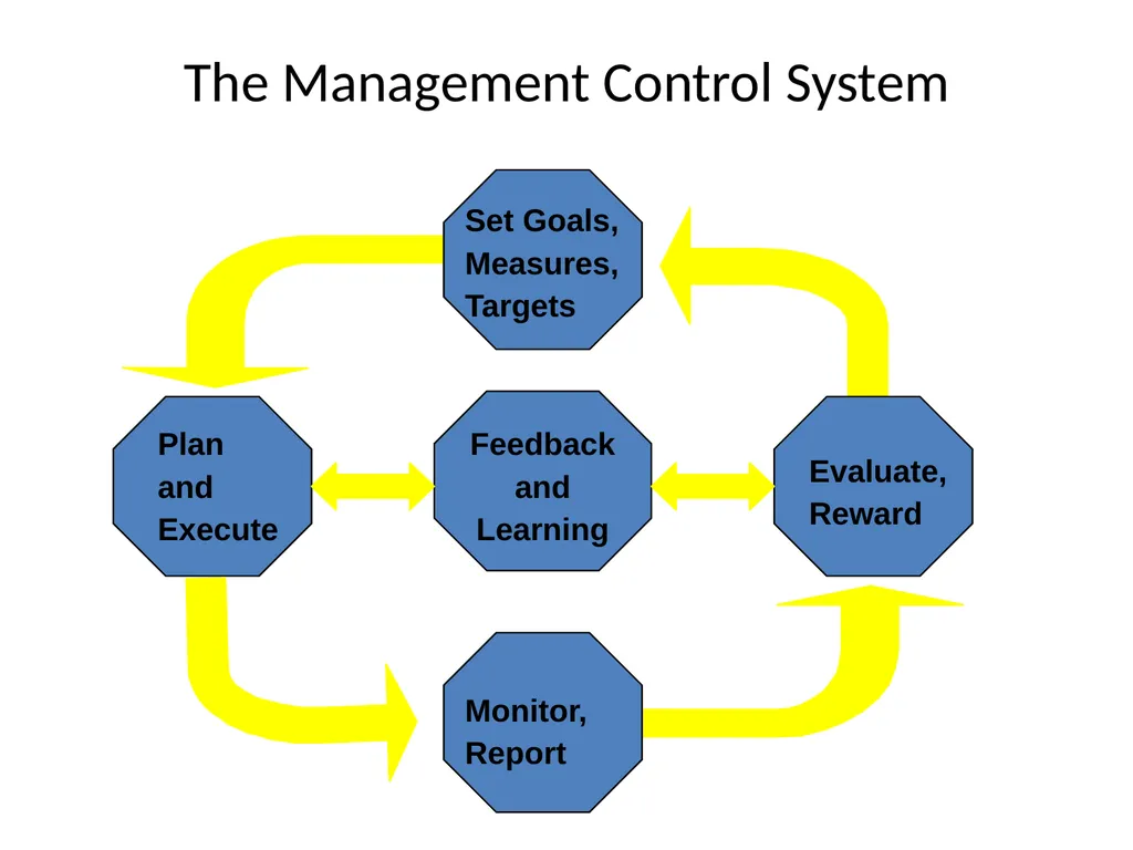 Strategy Implementation and Management control - slide 13 of 16